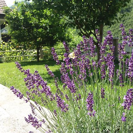 Kuca Lavanda Dreznjak Ngoại thất bức ảnh