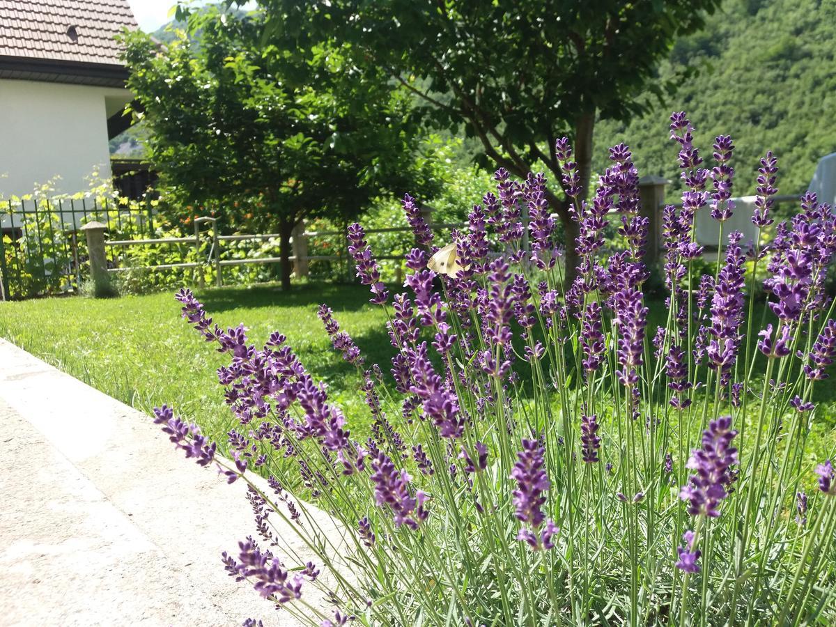 Kuca Lavanda Dreznjak Ngoại thất bức ảnh